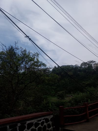 The image depicts an outdoor, overcast scene within or near the city of Sat Thay (East), Myanmar, viewed from an elevated perspective overlooking a vegetated valley and hillside. The upper two-thirds of the frame are dominated by a network of dark utility cables, including several running diagonally from upper left to lower right, and others horizontally. A notable splice or connection point is visible on a thicker cable in the upper left quadrant. The sky is largely overcast, presenting a soft, diffused light with some lighter blue areas indicating breaks in the cloud cover.
In the mid-ground on the left, a deciduous tree with dark branches and sparse green foliage stands. To its right, and extending into the background, a dense hillside covered in lush green trees and undergrowth rises steeply. Faintly visible through the foliage on the upper right side of the hillside are light-colored structures, suggesting distant buildings or residences. In the lower mid-ground, a small, rustic shelter with a dark roof and light walls is discernible amidst the vegetation, surrounded by what appears to be a clearing or cultivated land. A hazy mountain range is visible on the distant horizon above the tree-covered hill.
The immediate foreground features a concrete retaining wall with an irregular pattern of dark, embedded stones, topped by a reddish-brown railing or barrier. No individuals, actions, or specific interactions are visible within the frame. The environment is characterized by a blend of dense natural vegetation, utility infrastructure, and distant human development on hilly terrain.