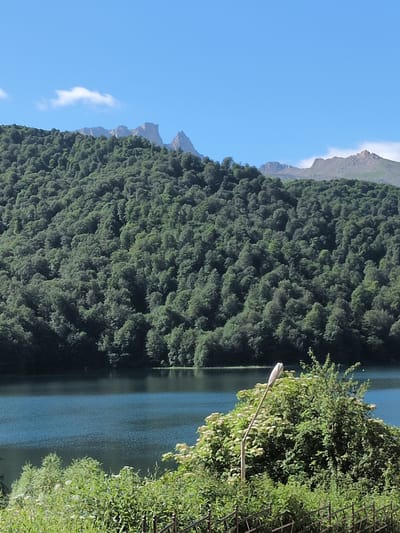 This image depicts a serene natural landscape in the vicinity of Toğanalı, Azerbaijan. The scene is dominated by a dense, verdant forest covering a sloping mountain in the background. The forest foliage is a rich, deep green, with individual trees visible, suggesting a temperate climate. Above the forest, rugged mountain peaks pierce a clear, bright blue sky, with a few wispy white clouds present.
In the foreground, a calm body of water, likely a lake, reflects the blue of the sky and the green of the trees on its surface. The water appears still, with subtle ripples indicating a gentle breeze. Along the edge of the water, and extending towards the viewer, is an area of lush vegetation. This includes a variety of green plants, some with clusters of small white flowers, adding a touch of brightness to the scene. A modern street lamp stands prominently amidst this vegetation, its metallic pole and angled light fixture contrasting with the organic forms of the plants. A dark, decorative metal fence runs along the very bottom of the frame, separating the viewer from the immediate foreground vegetation. The overall impression is one of natural beauty and tranquility, with a touch of human infrastructure integrated into the environment.