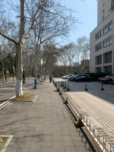 The image shows a paved sidewalk and a street in Wuhan, China, at coordinates 30.516, 114.407. On the right side of the frame, a row of cars is parked. A building, possibly an office building, stands beyond the cars. The building is made of concrete, with numerous windows. On the sidewalk, a single person walks towards the camera on the left side of the image, while a second person rides a bicycle towards the camera in the middle of the image. The sidewalk is lined with tall trees on both sides. The trees are bare, suggesting it is fall or winter. The ground is paved with gray bricks. A row of metal barriers with yellow and white markers separate the sidewalk from the street.