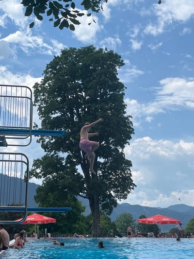 The image depicts a swimming pool area on a sunny day. In the foreground, the clear blue water of the pool is visible, with several people swimming and relaxing. In the middle ground, there is a diving board from which a young man in pink swim shorts is in mid-air, having just jumped. Behind the diving board and pool, a large, mature tree with dense foliage stands prominently. The background features a range of rolling hills and mountains, suggesting a scenic outdoor location. Two red umbrellas, presumably for shade, are visible near the edge of the pool. The sky is a vibrant blue with scattered white clouds, and the overall atmosphere is one of leisure and recreation. The location is identified as the Oberammergau, Germany swimming pool.