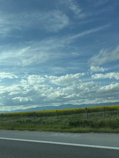 The image shows a roadside scene. On the right is a grey asphalt road with a white line marking. Adjacent to the road is a field of green grass and yellow flowers, divided by a wooden fence line with posts. In the background, mountains are faintly visible behind the field. The sky takes up the left side of the image, showing a gradient of blue with streaks of white clouds. There is no indication of Veselinovo, Bulgaria in the image.