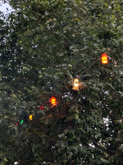 This is a close-up, outdoor, eye-level shot of a large tree with lush green foliage and some string lights hanging from its branches. The lights are of various colors, including orange, yellow, and red, and appear to be cylindrical in shape. The lighting suggests it is either dusk or the sky is overcast. The image is focused on the interplay of light and shadow within the dense leaves, with some lights casting a warm glow. No people or other subjects are visible. The setting is a natural environment, likely a park or a garden within the city of Avanos İlçe Merkezi, Turkey, given the provided location context.