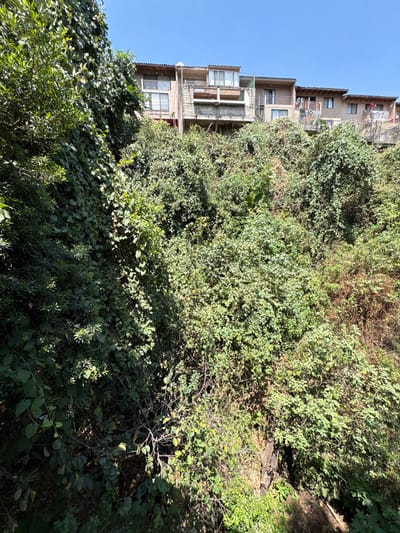 The image displays a steep, heavily vegetated hillside or ravine in Tetela Del Monte, Mexico, with residential structures situated at its crest under a clear blue sky. The foreground and midground are entirely covered by dense, green foliage, consisting of various shrubs and vines, with deeper shadows indicating the terrain's descent into the lower portions of the ravine. At the top of the incline, a row of approximately five multi-story residential buildings is visible. These structures feature light-toned facades, multiple balconies with railings of varying designs, and flat or low-pitched roofs. Windows and glass sliding doors are evident on the building fronts. One central building exhibits an exposed concrete support structure beneath a balcony. A red satellite dish is mounted on the roof of the building on the far right. No individuals or discernible activities are depicted in the scene.
