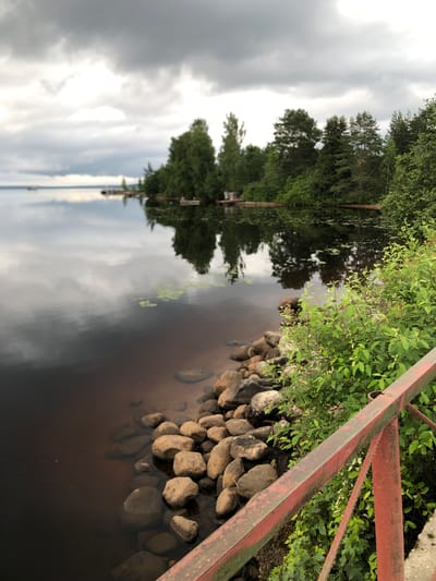 An overcast sky looms over a still, dark body of water, likely a river or lake, reflecting the muted tones of the clouds and a dense line of trees on the opposite bank. The shoreline in the foreground is characterized by a rocky embankment, with numerous smooth, rounded stones partially submerged in the murky water. Lush green foliage, including bushes and trees, grows abundantly along the water's edge and further inland, creating a wild, natural setting. A rusty red metal railing, showing signs of age and wear with patches of green visible, runs along the right side of the frame, suggesting the presence of a path, bridge, or pier. The overall atmosphere is serene and somewhat melancholic, indicative of a temperate climate and a quiet natural landscape. This scene is consistent with the natural environments found in and around Svirstroy, Russia, a town situated on the Svir River.