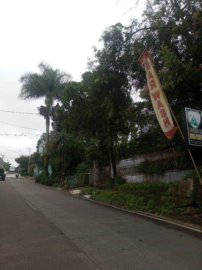 A street scene features a gray road leading into the distance, with a motorcycle approaching. On the right side is a partially obscured "CAR WASH AND CAFE" sign, accompanied by a flag displaying "CARWASH" vertically. Lush greenery lines the roadside, and a tall palm tree stands further away on the left. Utility poles and wires are visible, and the sky is overcast. A wall and various trees create a dense backdrop to the scene.