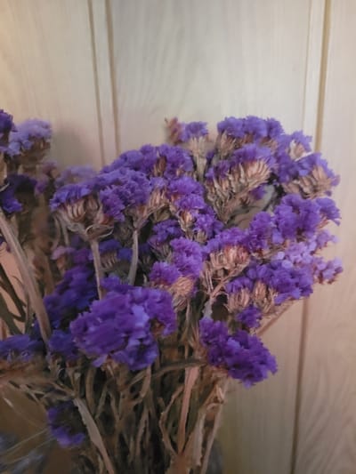 A close-up, vertically oriented shot showcases a bouquet of dried purple flowers against a light-colored, vertical wooden background. The flowers are tightly clustered, with many individual florets visible, appearing textured and delicate. The stems are thin and brown, adding to the dried aesthetic. The lighting is somewhat dim, casting a soft glow on the flowers and highlighting the texture of the wood. The background appears to be a wall or paneling, with faint vertical lines indicating planks or seams. The image does not contain any people or indicate a specific location within Belaazyorsk, Belarus.