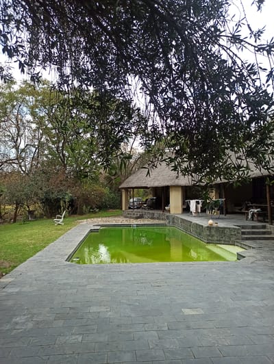 The image depicts an outdoor scene, likely in a resort or residential setting, given the presence of a swimming pool and thatched-roof structure. A lush, green lawn borders the pool and a paved area constructed with dark, rectangular stones. The swimming pool itself is filled with bright green water, suggesting it may be treated with chemicals or a particular type of filtration.
To the left of the pool, a building with a thatched roof is visible, with support beams and an open-air seating area. There are a few chairs and tables visible under the roof, suggesting it's an entertainment or relaxation space. A large, leafy tree with dark branches dominates the left side of the frame, partially obscuring the sky. The sky appears overcast, indicating potentially dull or cloudy weather.
On the right side of the frame, the stone paving extends, meeting the edge of the pool. A white plastic chair is placed on the lawn, facing the pool. The overall impression is one of a tranquil outdoor space, possibly during the daytime, given the lighting. There is no visible text or indication of specific emotions. The location context provided is Midrand, South Africa, which aligns with the tropical or subtropical vegetation and architectural style.