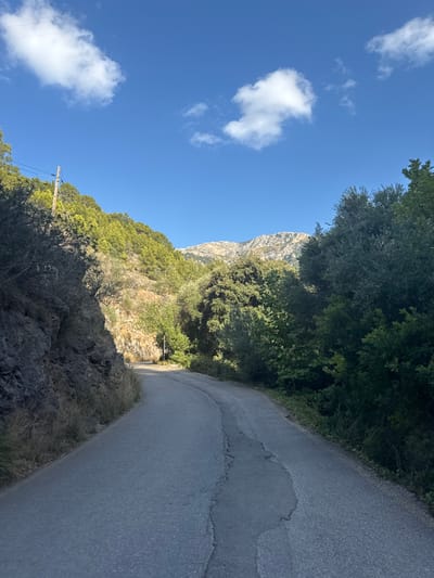 The image captures a winding, paved road in a mountainous, vegetated area near Deià, Spain. The asphalt road, exhibiting cracks and patches, curves gently to the right, ascending into the mid-ground. To the immediate left, a steep rock face with sparse dry vegetation gives way to a densely treed hillside, where a utility pole with overhead lines is visible. The right side of the road is bordered by dense green trees and shrubs. In the background, a rugged, rocky mountain range is visible beneath a clear blue sky adorned with scattered white cumulus clouds. No individuals, vehicles, or specific actions are present in the scene.