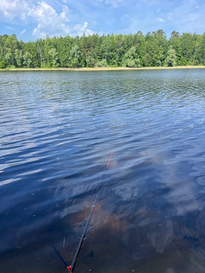 The image depicts a calm lake on a sunny day, with a dense line of green trees forming the shoreline in the background. The water's surface is rippled, reflecting the blue sky and white clouds. In the foreground, a fishing rod with a red and white float is partially submerged in the water, indicating an ongoing fishing activity. The bottom of the lake is visible through the clear water, with submerged debris. The scene is peaceful and natural, suggesting a rural or natural park setting. The location is identified as Vasil'evo, Russia, a town situated on the Volga River, known for its natural beauty and recreational opportunities.