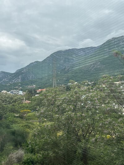 The image shows a mountainside in Zankovići, Montenegro, partially obscured by trees and foliage. A tall electrical transmission tower stands on the mountain slope. Houses and other buildings are nestled amongst the trees at the base of the mountain. The sky is overcast.
