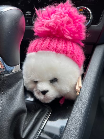 A plush toy, appearing to be a small white dog with black eyes and nose, is nestled in the center console of a vehicle. The toy is partially covered by a pink knitted cap with a large, fluffy pom-pom. The cap is a vibrant pink and appears to be hand-knitted. Several wooden skewers are visible protruding from under the cap and into the console's crevice, suggesting the toy might be temporarily secured or displayed in this manner. The interior of the car is visible, including the black leather of the gear shift boot, a silver trim detail, and part of the dashboard with a circular control knob. The lighting suggests it is daytime, likely inside a parked car. The scene is static, with no people or active events depicted. The overall impression is a whimsical or personalized touch to the car's interior.