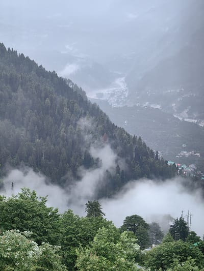 A high-angle, medium shot captures a misty mountainous landscape near Prini, India. The scene is dominated by lush green trees, dense pine forests climbing up steep slopes, and low-lying clouds that partially obscure the view. In the distance, a valley is visible, with a winding river or road and scattered buildings forming a settlement. The overall atmosphere is serene and slightly melancholic due to the overcast sky and fog. No people or animals are distinctly visible.