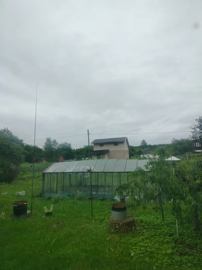 The image depicts a slightly overcast day in a rural setting, possibly a dacha or garden plot, within the Дзешчанскі сельскі Савет region of Belarus. In the foreground, a lush green lawn is visible, with some patches of wildflowers. To the left, a tall, thin antenna-like structure stands prominently. A large, green-framed greenhouse occupies a significant portion of the mid-ground, its glass panels reflecting the cloudy sky. To the left of the greenhouse, a dark, cylindrical container filled with dark material is situated on a concrete base. Slightly to the right of that, a smaller black pot with some greenery is present. In the background, a two-story house with a beige and light brown facade and a dark roof is visible, nestled among numerous trees and greenery. Another smaller structure, possibly a shed or outbuilding, is also present. A power line stretches across the upper portion of the image, supported by a utility pole. A mature tree with dense foliage is located in the right foreground, partially obscuring the view of some elements behind it. The overall scene suggests a functional garden or residential area in a temperate climate.