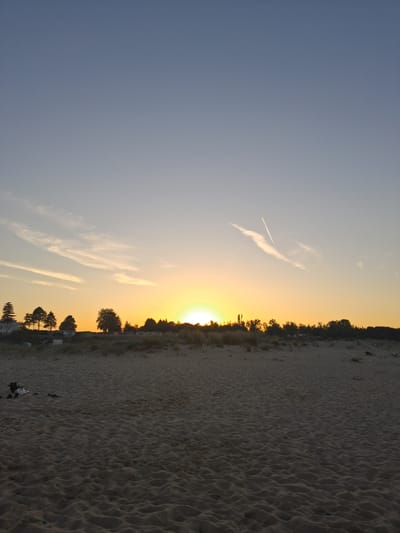 The image depicts a wide-angle view of a sandy beach at sunset in Shkorpilovtsi, Bulgaria. The foreground is dominated by textured sand, showing patterns of ripples. In the middle ground, a line of low vegetation and trees forms a natural barrier behind the beach, with a few small structures, possibly beach huts or cabins, visible amongst the foliage. Beyond this, the sky transitions from a pale blue at the top to a warm yellow and orange hue near the horizon, indicating the setting sun. The sun itself is a bright, luminous orb partially obscured by the tree line. A thin white contrail from an aircraft is visible in the upper right portion of the sky. On the left side of the foreground, a few scattered items, including what appears to be a black bag and some clothing items, are present on the sand. The overall scene is tranquil and natural, characteristic of a coastal setting.
