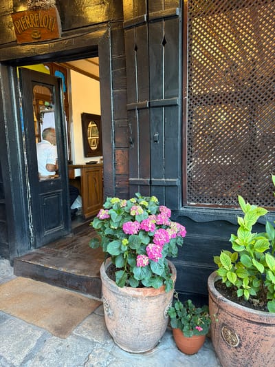 In the city of Eyüpsultan, Turkey, the image captures a close-up view of a building's entrance. A dark wooden door, partially ajar, reveals a man in a white shirt seated at a desk inside. Above the doorway, a wooden sign with the name "PIERRELOTTI" is visible, accompanied by a small illustration of a coffee cup. To the right of the entrance, a decorative wooden lattice covers a window. In front of the building, several potted plants add a touch of greenery and color, including a large pot with vibrant pink hydrangeas and another with bright green leaves. A small brown doormat rests on the stone pavement leading to the entrance, and the ground is paved with irregular stone tiles.