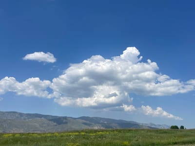 This is a photograph of a pastoral landscape under a bright blue sky with scattered white clouds. In the foreground, a grassy field with patches of yellow wildflowers stretches towards a line of hazy mountains in the background. The mountains are covered in sparse vegetation and show evidence of erosion. The sky is a vibrant blue, with several fluffy cumulus clouds, some of which are larger and more prominent than others. The overall impression is one of a serene and expansive natural environment. The location is specified as Khaidarkan, Kyrgyzstan.