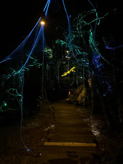 This image depicts a nighttime outdoor scene in Bukovik, Montenegro, featuring a path illuminated by various light installations. A wooden plank walkway extends from the bottom of the frame, leading into the dark distance. On the left side, a prominent blue, net-like structure, possibly a light art installation, is suspended, illuminated by an overhead warm yellow-orange light source, likely a streetlamp, positioned high in the upper left quadrant. This blue net exhibits small, sparkling points of light.
To the right of the path and overhead, numerous glowing strands of green light are visible, resembling tangled vines or abstract glowing elements. Further to the right and deeper into the scene, additional blue and purple glowing lights are present. A distinct, bright yellow, abstract light element is suspended in the upper midground, slightly right of the path's center. The ground adjacent to the wooden path is dark earth covered with debris and leaves. Dark, unidentifiable foliage and trees frame both sides of the path, largely obscured by the darkness and the intense artificial lights. No individuals, animals, or vehicles are present in the scene. The overall environment suggests an illuminated trail or art installation within a natural setting after nightfall.