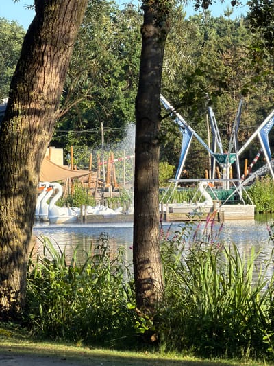 The image shows a park scene in Heijen, Netherlands, with a focus on a pond and surrounding trees. In the foreground, two large trees with textured bark partially obscure the view. The pond is calm and reflects the sunlight. On the pond, there are several white swan-shaped pedal boats docked near a wooden structure. Behind the boats, a children's play area is visible with wooden structures and a large tan canopy. To the right of the pond, a trampoline attraction with blue and white banners that read "JUMP" is set up. The background consists of dense green trees. The lighting suggests it is daytime, with sunlight filtering through the leaves and creating shadows. There are no people visible in the image.