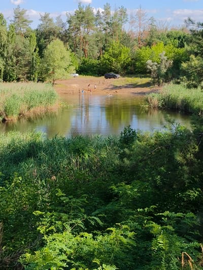In Shyroke, Ukraine, a serene natural scene unfolds near a body of water surrounded by lush vegetation. The water's surface reflects the blue sky and trees. Several people, appearing to be children, are wading and playing in the shallows of the water. On the sandy bank, two cars are parked, one white and one dark colored. Tall green reeds line the edges of the water, and dense green trees form a backdrop, with a clear blue sky visible above.