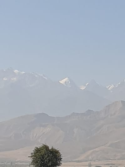 The image depicts a panoramic view of a mountainous landscape under a hazy, pale blue sky. In the foreground, a solitary tree with dense, green foliage stands on a slightly elevated slope. The tree is wind-swept, with its branches appearing to sway. Beyond the tree, rolling hills and valleys stretch into the middle ground, characterized by arid, light brown terrain with visible erosion patterns and some sparse vegetation. In the background, a prominent mountain range rises, with some of its peaks capped with snow, suggesting a significant altitude. The mountains are rendered in muted tones, softened by atmospheric haze. The overall impression is one of natural, undeveloped scenery, likely in a rural or remote mountainous region. The provided context suggests this scene is located in Leninskoye, Kyrgyzstan, a region known for its mountainous terrain. No people or specific structures are clearly identifiable in the image, emphasizing the natural environment.