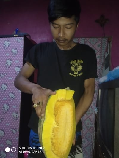 A man in a black t-shirt holds a large, yellow squash cut in half. The squash's orange interior is visible. He wears a ring on his left hand. Behind him is a wardrobe adorned with a Hello Kitty pattern, and a patterned curtain is to the right. The lighting appears dim, casting shadows on the background. A watermark indicating the photo was taken with a Redmi 7 AI Dual Camera is present in the lower left corner.