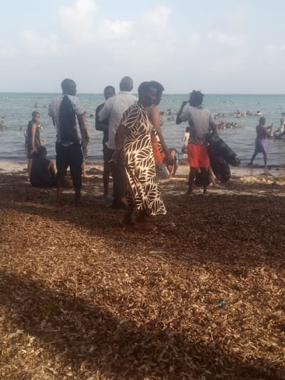 The image depicts a crowded beach scene in Shanzu ward, Kenya, under a bright, overcast sky with visible blue patches. The foreground is entirely covered with a thick layer of dried, brown organic matter, likely seaweed or dried leaves.
Approximately 10-15 individuals are visible on the immediate shoreline, with many more visible in the ocean. In the midground, a woman in a long, black and white patterned dress is walking from left to right, her face visible as she looks to the left. To her left, a man in a white shirt with a black back panel and dark pants stands facing the ocean, while another individual sits on the ground near the waterline. To the right of the central woman, a man in a grey t-shirt and orange shorts stands, appearing wet, carrying a black tire inner tube over his left shoulder, also facing the ocean. Another person in a purple garment is partially visible entering the water further right.
The ocean, which forms the background, is light blue-green and appears calm. A large number of people are visible in the water, scattered across the visible expanse, suggesting swimming, wading, and recreational activities. Some individuals in the water appear to be using flotation devices, such as inner tubes. The overall environment suggests a leisure activity at a coastal location. No specific interactions between individuals are clearly discernible beyond general proximity and movement.