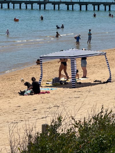 This bright, sunny photograph captures a lively beach scene with a calm, blue-green ocean meeting a light-colored sandy shore. A long wooden pier extends into the water on the left side of the frame, lined with vertical posts.

Numerous individuals are enjoying the beach and water. In the shallow water, several people are seen wading, with one person further out holding a red flotation device. Closer to the pier, others are scattered throughout the water, some appearing to swim or wade.

On the sandy beach, a prominent black and white striped pop-up canopy provides shade. Underneath the canopy, a person in a black swimsuit stands, while another individual in shorts and a dark top stands nearby. Further to the right, a person wearing a black shirt and a cap is seated or kneeling on the sand next to a dark-furred dog, with a deflated soccer ball visible nearby. Beach towels, bags, and shoes are scattered around the canopy area.

The scene conveys a relaxed and leisurely atmosphere, typical of a warm, clear day. Distinct shadows suggest bright overhead sunlight, indicating midday or early afternoon. The far right edge of the image features green foliage and tree branches, implying vegetation along the beach. No discernible text is visible within the image itself.