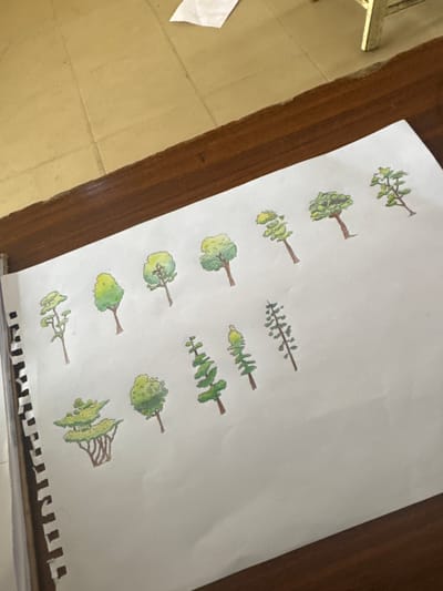 The image shows a close-up view of a sheet of paper with various watercolor drawings of trees. The trees are depicted in different styles and sizes, some with rounded canopies and others more slender and conical. The colors used are predominantly greens and browns, suggesting a natural, outdoor theme.
The paper is placed on a wooden surface, which appears to be a table or desk. A portion of a light-colored tiled floor is visible in the background, on the left side of the image. A torn edge of white paper is also visible in the lower left corner. The lighting suggests an indoor setting, possibly with natural light, as there are no harsh shadows.
The drawings themselves are the main focus, with no people or animals present. The style of the drawings is somewhat simplified, resembling illustrations one might find in a children's book or a nature guide. There are no discernible landmarks or environmental cues that would indicate a specific location within Amansee, Nigeria, beyond the general theme of trees.
The overall impression is one of artistic practice or a collection of nature studies. The image is captured from a slightly angled perspective, giving a sense of depth. There is no visible text in the image.