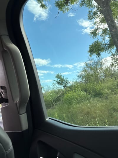 The image depicts a view from inside a vehicle, looking up through an open roof. Outside, there's a view of trees and a blue sky with scattered clouds. The surrounding vegetation appears lush and green. A portion of the vehicle's interior, including the roof structure and a grab handle, is visible. The image gives the impression of being outdoors in a natural setting, but the location is not possible to discern from the image alone. Levski, Bulgaria cannot be determined from the given image.