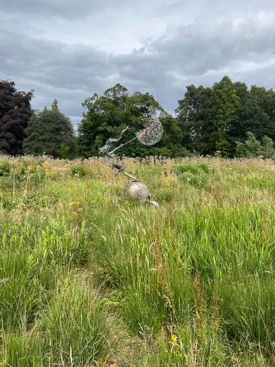This is an outdoor photograph taken on a cloudy day in a grassy field, likely in Stafford, United Kingdom. The scene is dominated by tall, green grass and a line of trees in the background. In the foreground, there is a metal sculpture that resembles a large dandelion seed head, with delicate, intricate metal strands radiating outwards. To the right of the dandelion sculpture, there is a large, grey, spherical object, possibly a stone or part of another sculpture. A small, white bird, possibly a dove or pigeon, is perched near this sphere. The sky is overcast with grey clouds, suggesting a temperate or possibly rainy climate. The overall impression is one of a natural, slightly wild landscape, enhanced by the presence of artistic elements. There is no visible text in the image.