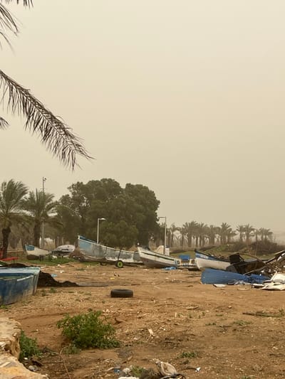An outdoor scene in Jisr az-Zarqa, Israel, depicts a dusty or hazy environment under a uniformly pale orange-brown sky. The ground consists of uneven dirt and sand, heavily littered with various debris including plastic bags, bottles, corrugated metal sheets (some blue), wood fragments, and an old tire centrally placed. Numerous small to medium-sized boats are dry-docked on the ground, indicating a coastal or lakeside area.
From left to right, visible boats include: a light blue boat partially in the foreground; a light blue and white boat resting on a two-wheeled cart with bright green wheels; and a white boat with blue trim displaying "13271" on its hull, supported by blocks. Further to the right, additional boat components and scrap are present.
Several palm trees are scattered across the middle ground and background, appearing partially obscured by the atmospheric conditions. A large, dense green tree stands prominently in the middle ground, slightly to the left of the center. Multiple white-poled streetlights are visible among the trees and boats. A large palm frond extends into the upper left quadrant of the frame. Two small birds are discernible near the boat with green wheels. No human figures are present.