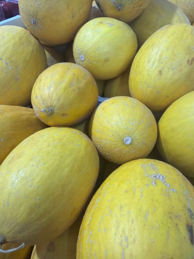 The image shows a pile of yellow melons. The melons vary in size and shape. Some are round, while others are elongated. The melons are densely packed, with some overlapping others. The location is Kadima-Zoran, Israel.