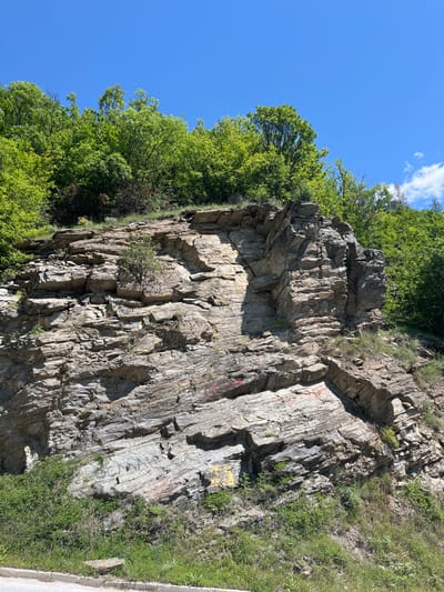 The image depicts a rocky cliff face adjacent to lush green vegetation under a clear blue sky, possibly located near Kovachevitsa, Bulgaria. The cliff exhibits distinct vertical striations and fracturing, with patches of graffiti visible on the rock surface. Greenery is abundant at the cliff's base and top. The picture seems to have been taken at ground level, tilted at an angle to capture the entire cliff and surrounding area.