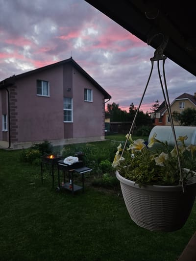 In the city of Gornye Moriny, Russia, a backyard scene unfolds at dusk. A pink-hued sky, painted with streaks of clouds, hangs over a suburban landscape. In the foreground, a hanging planter overflowing with pale yellow petunias dangles from an unseen support, partially obscuring the view. To the left, a two-story house with white-framed windows stands as a muted, stuccoed structure. A barbecue grill, with a small fire burning and smoke rising, is positioned on the lawn in front of the house, with skewers resting nearby and two bottles of soda on a lower shelf. Further in the background, another house with a red roof is visible, as are trees and what appears to be a greenhouse or covered structure. The overall scene suggests a peaceful, domestic setting as evening settles in.