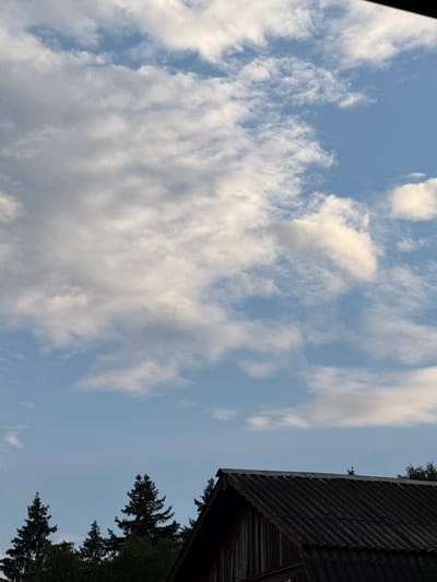 This media file captures a view of a pale blue sky with scattered, fluffy white clouds. The image is oriented vertically, with the top of the frame showing a dark, corrugated roofline that angles down the right side of the image. Below and to the right of the roof, the dark green silhouettes of pine trees are visible against the sky. The time of day appears to be late afternoon or early evening, given the soft lighting and the color of the sky. The overall scene suggests an outdoor setting in a natural or rural environment, possibly a dacha or a cabin. There is no discernible text in the image.