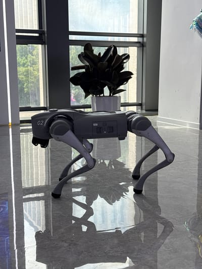 The image shows a quadruped robot, possibly of the robotic dog type, with its back to a window. The robot is light gray with dark gray joints and feet. The windows are part of a building with a view to the outside, which appears to be a city with green spaces and buildings visible in the distance. A potted plant sits near the window. The robot’s shadow is visible on a light-colored marble-like floor. The floor also reflects the pattern from the windows, creating a layered effect. The number "02" is visible on one of the robot's sides. The location is Unknown, China.