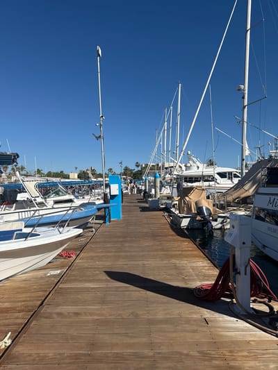 The image depicts a marina in La Paz, Mexico, under a clear blue sky. A wooden pier runs along the right side of the frame, with several boats moored along it. Various sailboats and yachts are docked, their masts extending upwards. A red hose is visible coiled on the pier. People can be seen distantly along the pier.