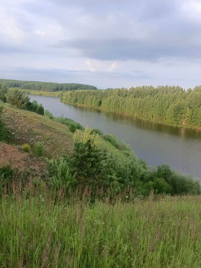 The image depicts a serene natural landscape, likely located in or near the village of Bogatye Saby, Russia. The scene features a wide, calm river flowing through a valley. The riverbanks are lined with dense, green forests dominated by deciduous trees, with some coniferous trees interspersed. The foreground of the image is a grassy slope with tall grasses and scattered wildflowers, suggesting a meadow or hillside overlooking the river. The sky is partly cloudy, with soft gray clouds against a lighter sky, indicating it might be late afternoon or early evening. There are no people or man-made structures visible in the image, emphasizing the natural and undisturbed state of the environment.