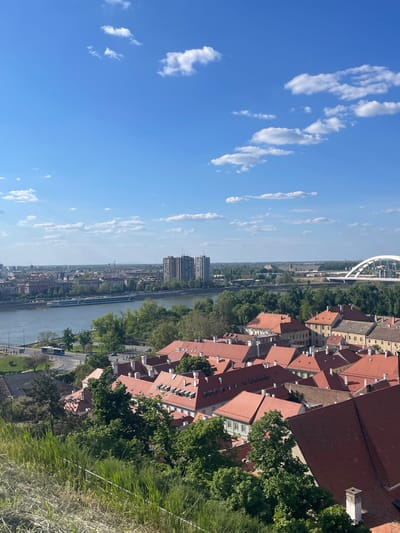 This media file captures an elevated, panoramic view of a city situated along a wide river, likely the Danube, under a bright blue sky with scattered white clouds. The perspective appears to be from a height, such as a hill or fortress, looking across the river.
The upper portion of the image is dominated by the clear blue sky, dotted with numerous small, fluffy white clouds. The sun is high, casting clear shadows and illuminating the scene brightly, indicating daytime.
The river, a prominent feature, flows horizontally across the middle ground. On one bank, a dense collection of buildings with characteristic reddish-brown tiled roofs stretches along the waterway, interspersed with green trees. Further in the distance along this bank, a large, modern white arched bridge is visible, spanning the river. Beyond the immediate riverside architecture, additional urban development, including some taller buildings, can be seen receding into the hazy distance. A long barge or boat is visible on the river, moving upstream or downstream.
On the near bank, closest to the vantage point, more buildings with similar red-tiled roofs are nestled among abundant green trees and foliage, extending down towards the river. The immediate foreground shows lush green grass and wilder vegetation.
The location context suggests this is a view over Petrovaradin, Serbia, likely from the Petrovaradin Fortress, looking across the Danube towards Novi Sad. No individuals or visible text are discernible within the frame. The scene conveys a sense of historical urban charm combined with natural beauty.