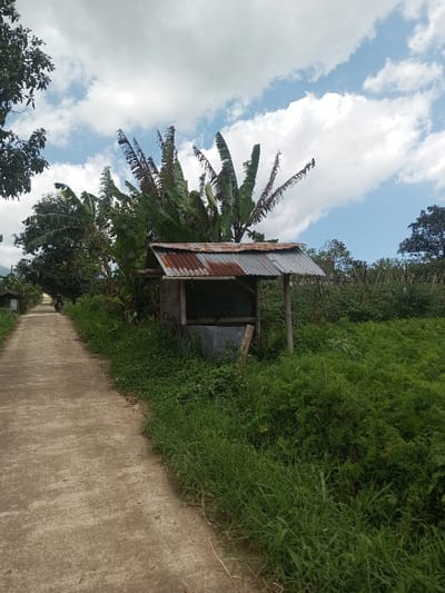The image depicts an outdoor scene in the city of Bagochen Boolingpang Ueling, Bhutan, under a partially cloudy sky. A light-colored concrete pathway, approximately 2-3 meters wide, extends from the foreground into the background, curving gently to the left. The path is bordered by dense, vibrant green vegetation.
On the right side of the pathway, roughly mid-frame, stands a small, rudimentary shelter. This structure features a gabled roof constructed from multiple sheets of heavily rusted corrugated metal. The roof is supported by three visible vertical posts, appearing to be made of wood or bamboo. Beneath the roof, a U-shaped basin or trough, also constructed from corrugated metal, is present. Behind this shelter, a cluster of banana trees with large, green, and somewhat tattered leaves is prominent. The terrain on the right beyond the immediate path is filled with diverse green flora.
On the left side of the pathway, similar dense green vegetation is present. In the far distance on the left, a small, light-colored structure, possibly a dwelling, is partially visible. An indistinct dark shape, potentially a small vehicle or a person on a vehicle, is barely discernible on the path near the distant structure. The sky occupies the upper portion of the image, displaying patches of blue sky interspersed with scattered white cumulus clouds. The scene is illuminated by natural daylight.