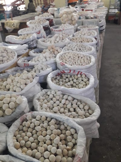 The image captures an indoor scene, likely a warehouse, market storage area, or wholesale stall in Ghafurov, Tajikistan. The primary subjects are numerous large white synthetic bags filled with countless small, light-colored, spherical or ovoid objects. These objects appear uniform in size and texture within each bag, and generally across the displayed bags. They resemble dried fruits, nuts, or a local food product, possibly a type of dried cheese curds (qurut) or a similar item.

The bags are arranged in multiple rows, extending into the background, indicating bulk storage or preparation for sale. The floor is a utilitarian concrete or similar industrial surface. The background is somewhat blurred and dark, suggesting an indoor environment with limited or artificial lighting. No individuals are clearly visible in the foreground or midground, though faint, indistinct figures might be present in the distant background.

Notable details include the sheer volume of the stored product. Visible text is minimal and largely illegible. On one bag, partial red Cyrillic characters "ЧА" are faintly discernible, possibly part of a larger word or brand. Another bag shows a partial red inscription that could be "34" or similar symbols. A yellow bag further back also displays an unreadable black logo or text. The scene is functional and commercial, focused solely on the storage and display of these goods.