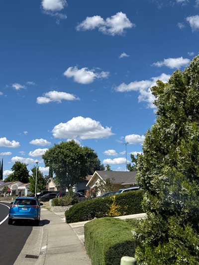 A bright, sunny day is depicted in Citrus Heights, California, with a clear blue sky dotted with fluffy white clouds. In the foreground, a blue SUV is parked on the left side of a paved road, next to a concrete sidewalk. The SUV has a license plate that reads "8 HFA 567." Several houses, some with light-colored siding and dark roofs, are visible behind manicured hedges and trees. A tall, dense green tree with small white flowers or berries stands prominently on the right side of the image, partially obscuring the view of some houses and the sky. A street lamp and a stop sign are also present in the scene. The overall impression is that of a quiet residential neighborhood on a pleasant day.