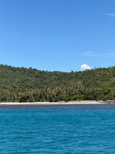 The image shows a panoramic view of a tropical coastline on a clear day. In the foreground, the bright blue ocean is calm, with gentle ripples on the surface. The middle ground features a sandy beach lined with a dense grove of palm trees. Behind the beach, a lush, green hillside rises steeply, covered in thick vegetation and trees, suggesting a tropical island or a heavily forested coastal area. The sky above is a vibrant, cloudless blue, with a single wispy cloud visible near the top of the hillside. The scene captures the natural beauty of a coastal landscape in a sunny climate.