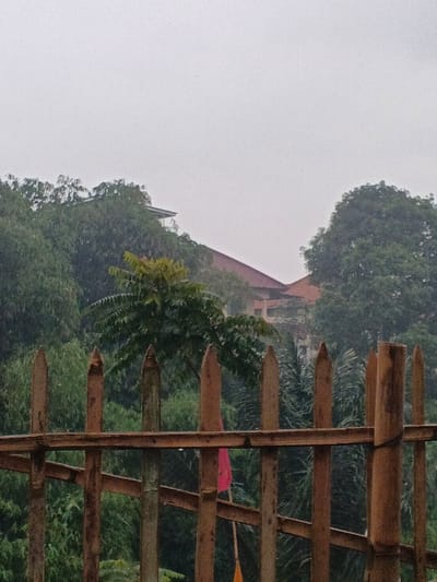 A wooden fence dominates the foreground, its vertical posts sharpened to points, and horizontal supports creating a grid. Behind the fence, lush greenery fills the frame, partially obscuring a multi-story building with a reddish roof. The scene is shrouded in overcast conditions, with a heavy, grey sky. A glimpse of a red flag or cloth is visible amidst the greenery behind the fence.