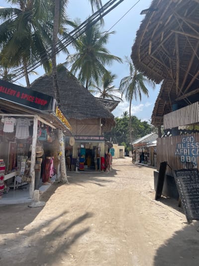 A street scene in a tropical locale features shops with thatched roofs and palm trees. One shop is labeled "Gallery & Spice Shop," and another is "Paje Boutique & Seveniors Shop." A sign on a wooden structure reads "God Bless Africa BBQ" above a menu offering "Africana" cuisine, including seafood and chicken curry. Power lines stretch across the sky, and the ground appears to be sandy or unpaved.