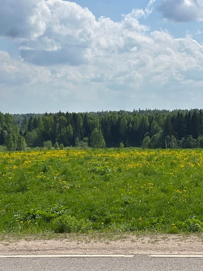 The image shows a landscape with a road on the right, a grassy field with yellow flowers in the center, a forest to the left of the field, and a cloudy sky on the left. The location is possibly Малеевка, Russia. No people are visible. The scene shows a typical rural landscape with natural elements.