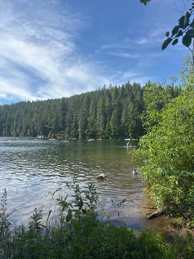This image depicts a scenic view of a lake surrounded by a dense forest. In the foreground, lush green vegetation lines the shore, with a few pieces of driftwood visible in the shallow water. The lake's surface is calm, reflecting the sky and the surrounding trees. Several people are scattered across the lake, engaged in various water activities. Some are on paddleboards, while others appear to be swimming or relaxing on inflatable tubes. A few ducks are also present in the water. In the background, a towering evergreen forest blankets a hillside, with a clear blue sky dotted with wispy clouds above. This scene is likely located at Sasamat Lake in Belcarra, Canada, known for its clear waters and surrounding temperate rainforest.