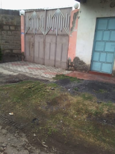 An exterior, ground-level photograph depicts a secured property entrance and an adjacent building within the city of Nakuru East ward, Kenya. In the center-left, a closed, double-leaf metal gate, light brown in color with silver-colored fan-shaped decorative elements, serves as the main entry. The gate is topped with razor wire and flanked by concrete posts, each crowned with a white spherical light fixture. The right gate post is painted peach, exhibiting significant peeling paint and exposed rough concrete at its base. To the left of the gate, a wall constructed of unpainted concrete blocks is visible. The driveway immediately behind and in front of the gate is paved with interlocking pavers, a mix of light grey and reddish-brown patterns.
To the right of the gate, a section of a light-colored (off-white) building wall is visible, showing discoloration and damage at its base. A closed, light blue metal door, featuring a grid pattern of recessed panels, is set into this wall, accessed via a reddish-brown threshold.
The foreground consists of uneven, unpaved ground composed of damp, dark soil with sparse patches of green and dry grass. Visible tire tracks traverse the muddy areas, and scattered small pieces of debris are present on the ground. No individuals or active interactions are depicted.