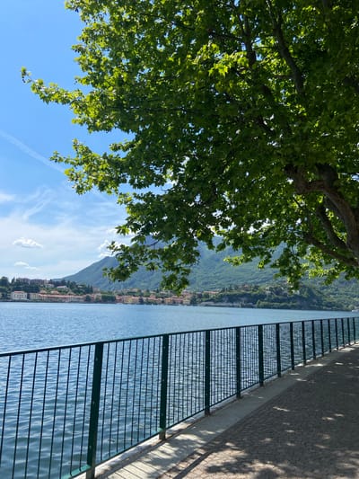 Captured in Lecco, Italy, the image shows a tranquil waterfront scene. A leafy tree canopy dominates the upper left portion, contrasting with the clear blue sky and wispy clouds. The railing separates the sidewalk from the water, reflecting the light. Across the water, the landscape rises into green mountains with buildings dotting the base.