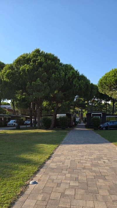 The image depicts a sunny day with a clear blue sky at what appears to be a campground or a residential area with mobile homes. A paved walkway, made of light brown square tiles, runs diagonally across the right side of the frame, bordered by a neatly mown green lawn on its left. Tall, mature pine trees with dense green foliage line the left side of the walkway, casting long shadows across the grass and path.

Scattered amongst the trees are several small, dark-colored mobile homes or cabins, some with white trim around windows and doors. A few cars are visible parked along the path or in front of the homes, including at least two white cars and a dark-colored car with a visible wheel. The presence of parked vehicles and the structured layout of the homes suggest a developed area for accommodation.

The lighting indicates it is daytime, likely late afternoon or early morning, given the elongated shadows. The weather appears to be pleasant and sunny. The scene evokes a sense of tranquility and outdoor leisure. The location context provided is San Michele al Tagliamento, Italy, which aligns with the presence of pine trees often found in coastal or Mediterranean regions. No visible text is present in the image.